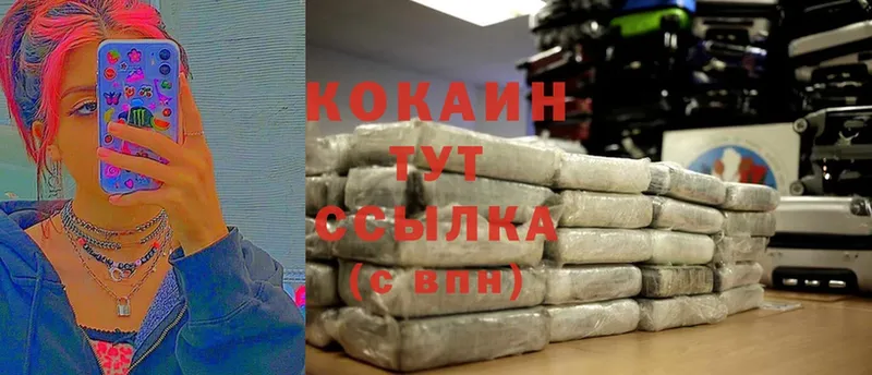 Cocaine Fish Scale  где купить   Полысаево 